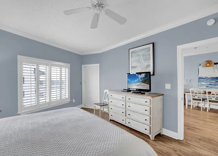 Apartment Palm 52d By Collection